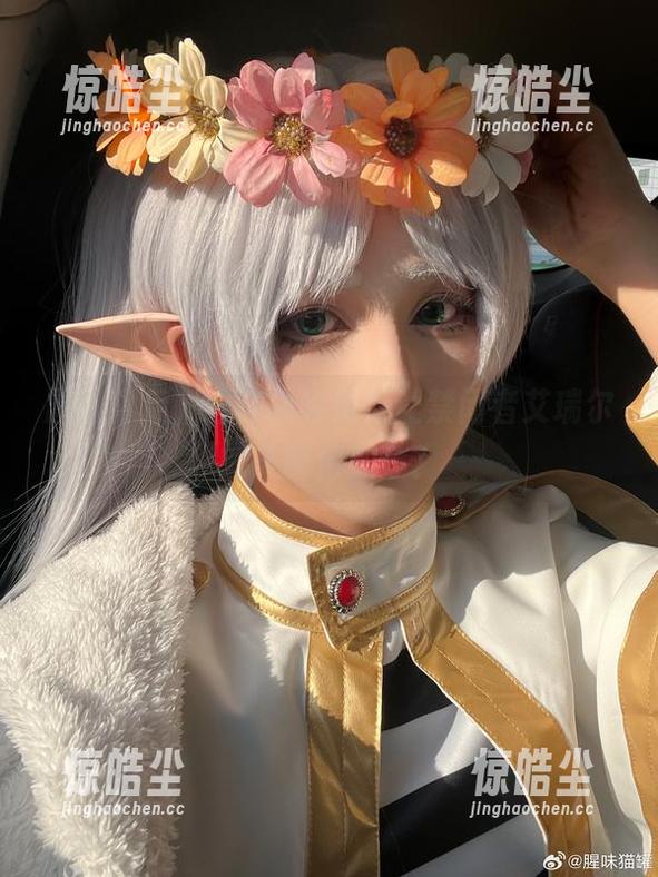 原图背后，腥味猫罐如何让禁闭者艾瑞尔的美丽倍加分？